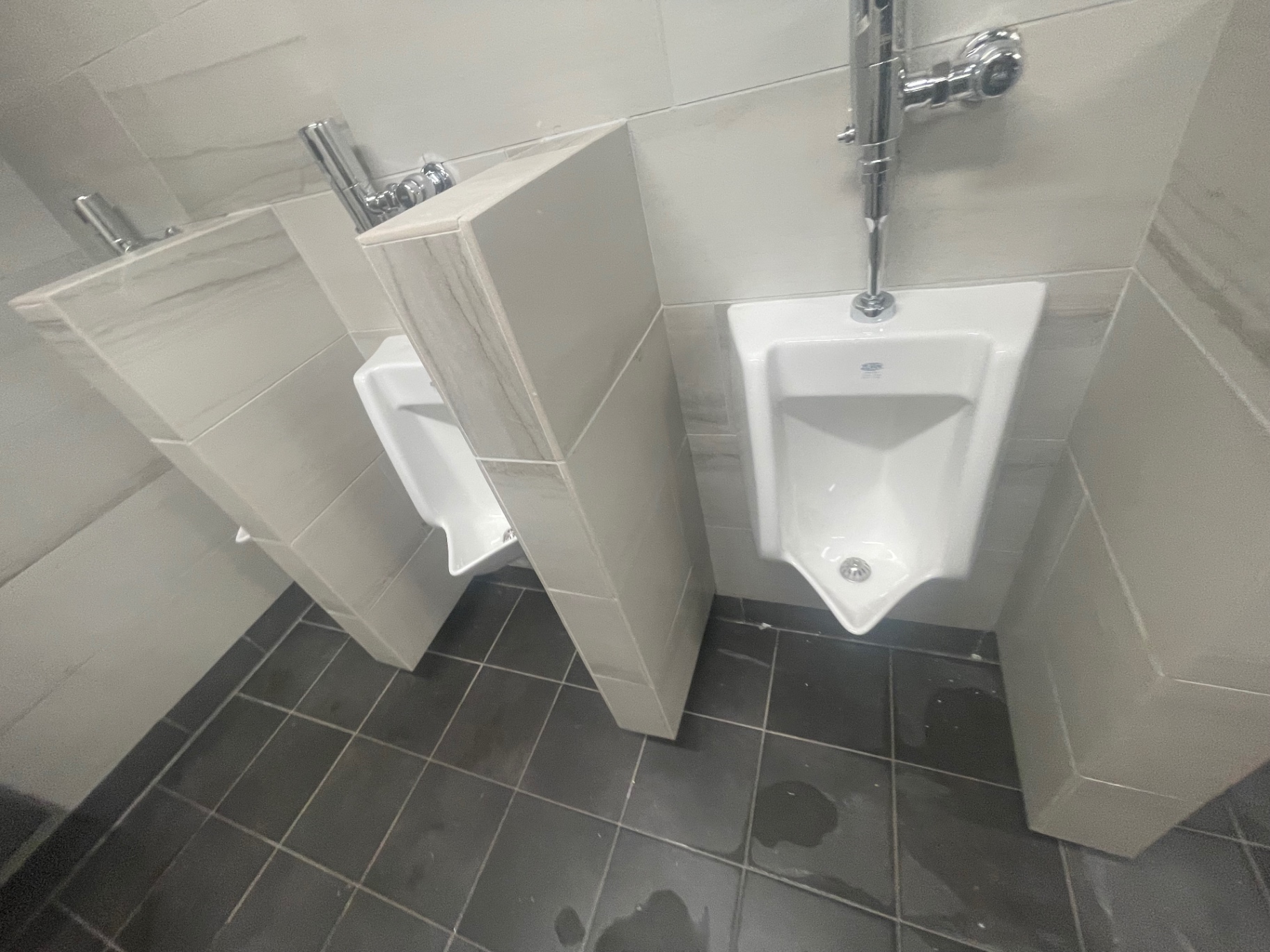 Cleaned urinals and privacy dividers in the public restroom